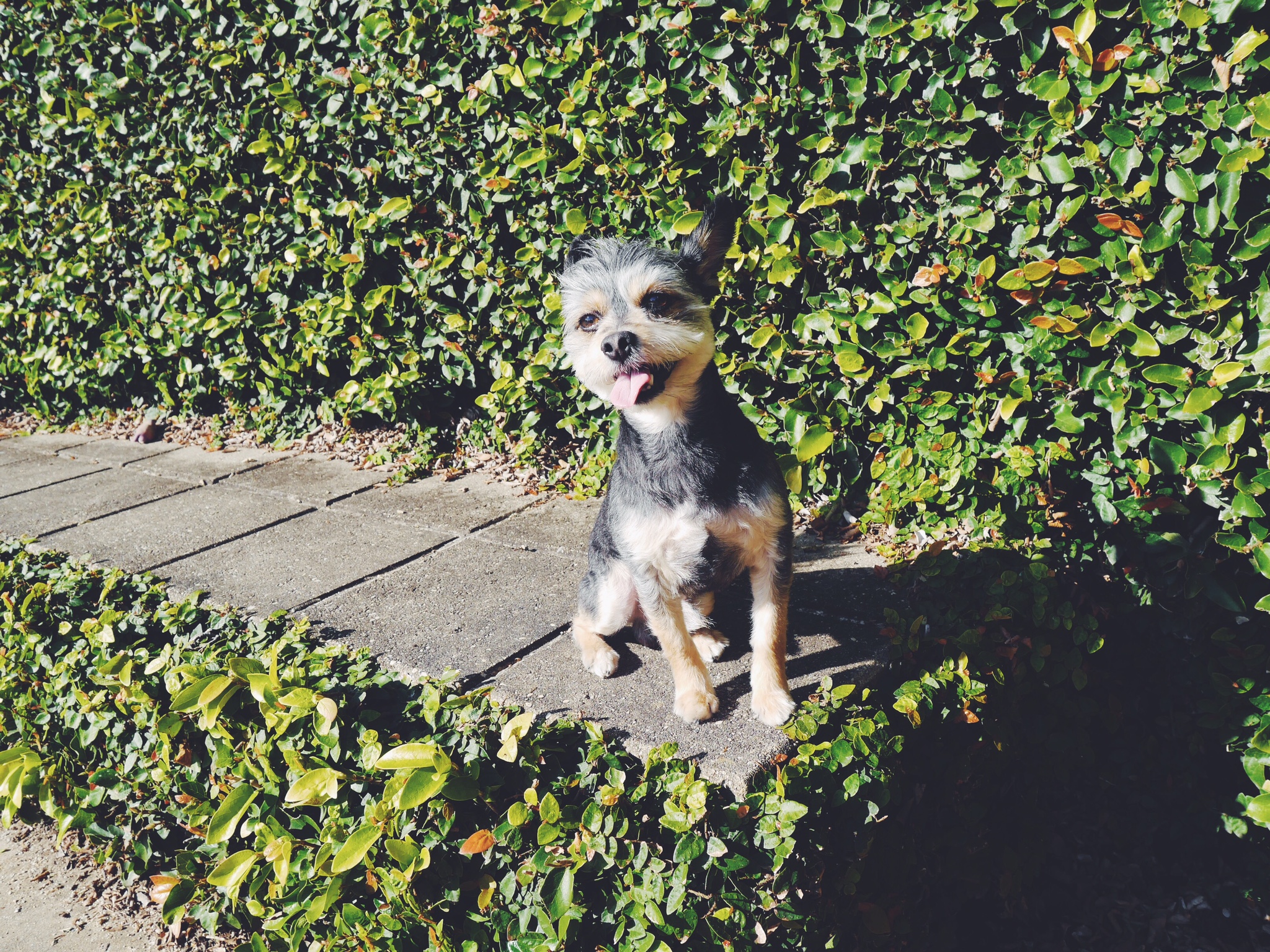 Wordless Wednesday | Out-takes