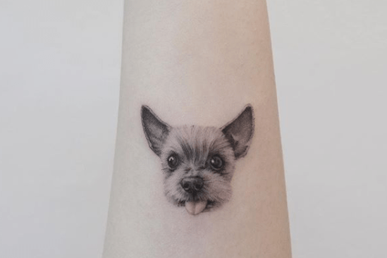 a yorkie tattooed onto the arm of a person